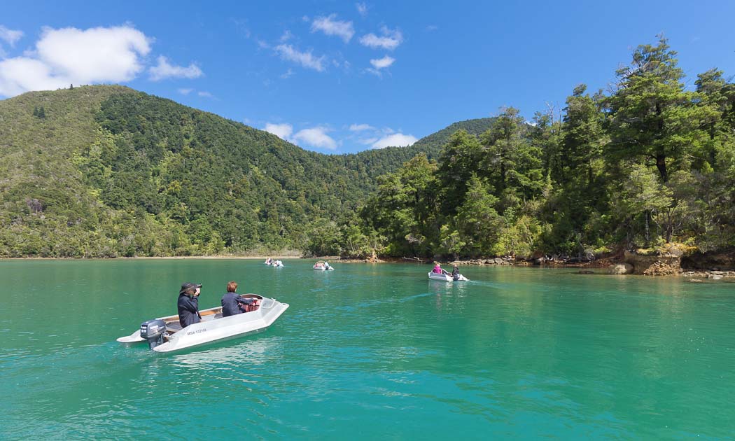 Pelorus Sound, Waterways Boating Safaris, Nový Zéland