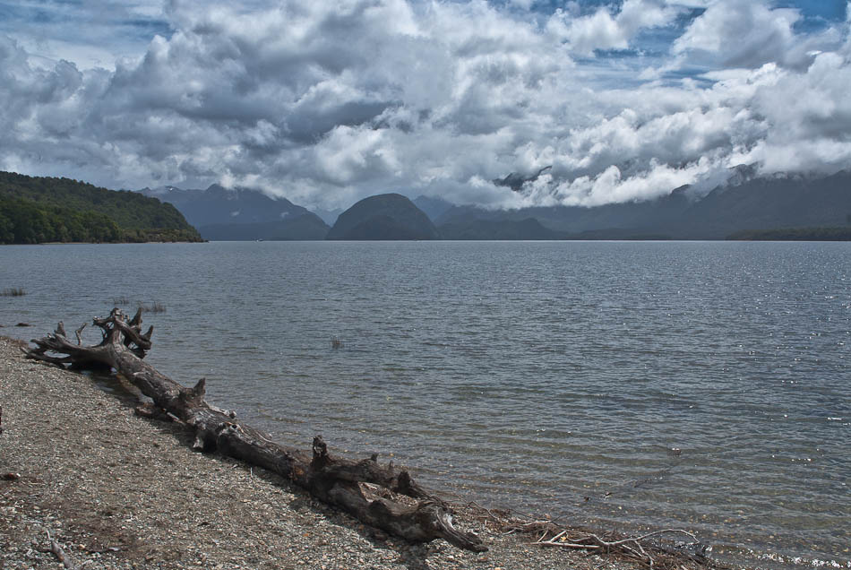 Shallow Bay, Lake Manapouri, Fiordland, New Zealand