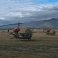 Bell B47G Sioux, air show Warbirds over Wanaka, Nový Zéland | fotografie