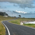 Cesta k výběžku East Cape, Nový Zéland | fotografie