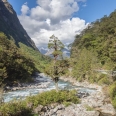Hollyford River and Milford Road, New Zealand | photography